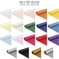 Rouleau papier kraft 65g 10m x 0,7m Noir