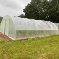 Serre Tunnel Professionnelle Normandie - 6m50 x 9m00