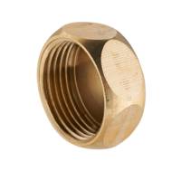 Bouchon laiton brut - femelle ø20 x 27 mm - Gedimat - NOYON ET THIEBAULT