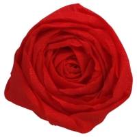 Paquet 10 feuilles Papier Crépon pliées 60% au format 2,50x0,50m - Rouge - CLAIREFONTAINE