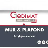 Peinture déco acrylique mur & plafond satin blanc 10L GEDIMAT PERFORMANCE PRO - Gedimat