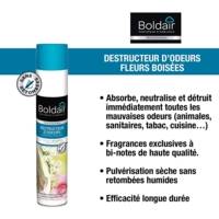 Aérosol 500 ml Désodorisant destructeur d'odeurs Fleurs boisées