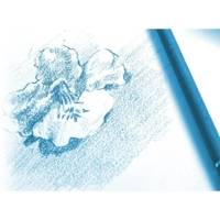 Pochette 12 Feuilles Dessin à grain 24x32 224g Blanc - CLAIREFONTAINE