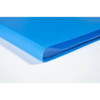 Protège-documents en polypropylène souple OPAK 40 vues - A4 Bleu clair - EXACOMPTA