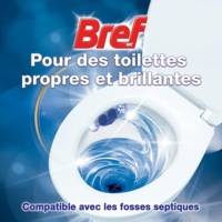 Bloc WC 50g Color Activ+ Fleurs sauvages - Nettoyant Détartrant toilettes