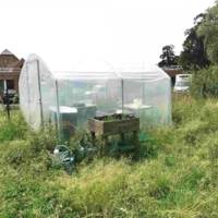 Serre tunnel de jardin - 4 Saisons 3m00 x 3m00