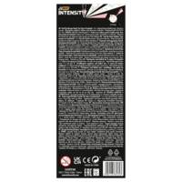 Pack durable 6 feutres INTENSITY BRUSH 2 en 1 PASTEL Double pointe