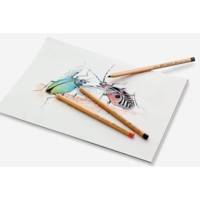 Crayon de couleur PITT PASTELL, hooker's vert