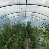 Serre de jardin - 4 Saisons Plus 4m00 x 12m00 – Serres Tonneau