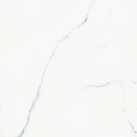 Carrelage sol intérieur THE ROOM - 60 x 120 cm ép.6,5 mm - Gedimat - IMOLA