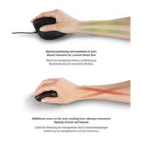 Souris sans fil verticale ergonomique "EMW-500", 6 boutons, noire