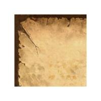 Etui de 50 Feuilles Papier Design 21 x 29,7 cm 90g Vieux parchemin "History" - SIGEL