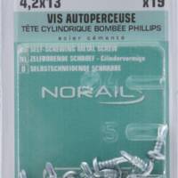 Vis autoperceuse tête cylindrique bombée empreinte Phillips acier cémenté 4,2 x 13 mm - Gedimat - NORAIL