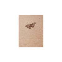 Flying Spirit Carnet Cousu 16x21 Ivoire 120p Kraft