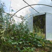 Serre tunnel de jardin - 4 Saisons – Serres Tonneau