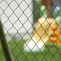 Grillage simple torsion PLASTEX PREMIER 5024 maille 50 x 50 mm vert - Gedimat