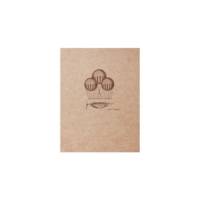 Flying Spirit Carnet Cousu 16x21 Ivoire 120p Kraft