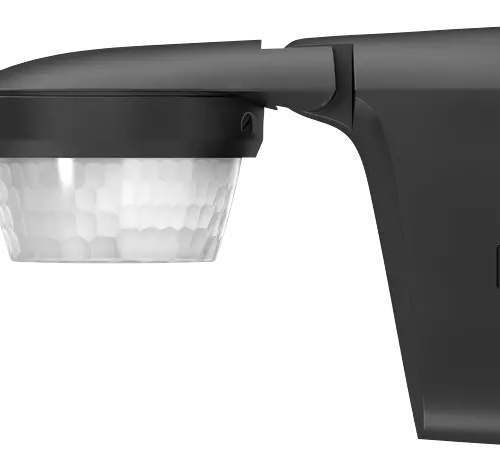 AUR00838