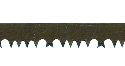 23143036