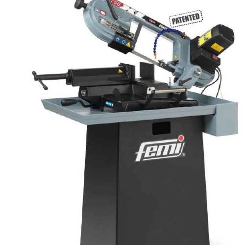 FEMI0061