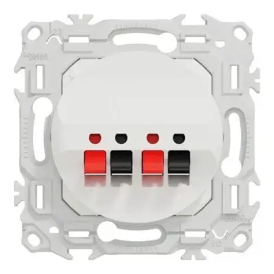 AUR00975