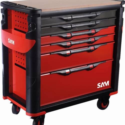 SAM06524