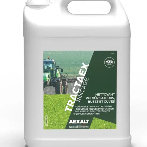 SCA20276