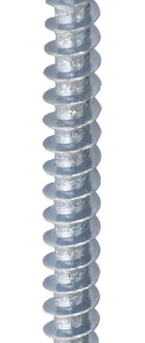 23922976