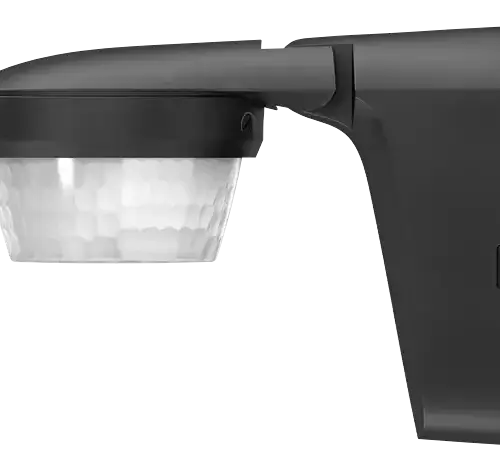 AUR00838