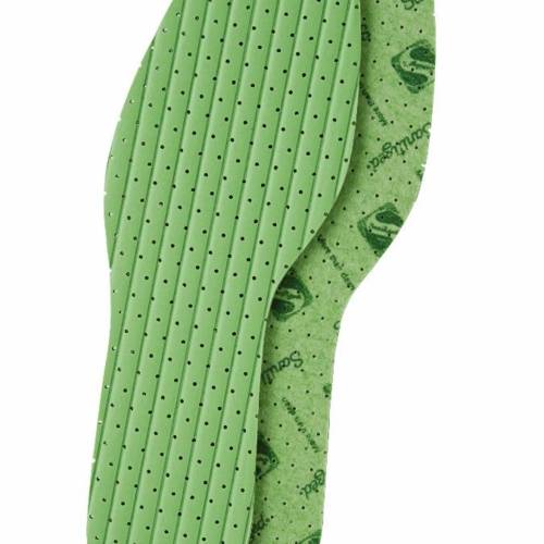 CHA50579