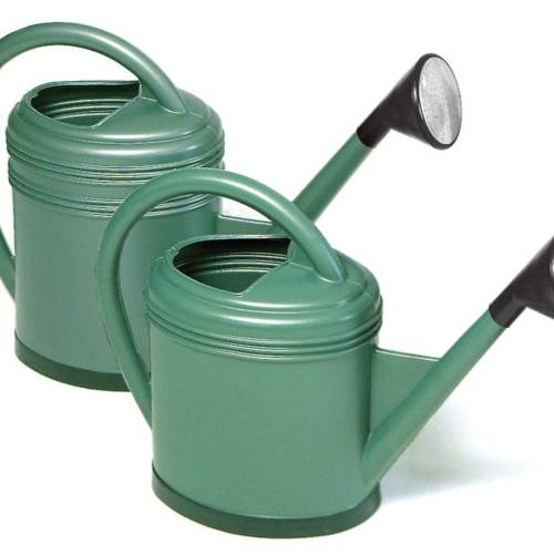 24268691