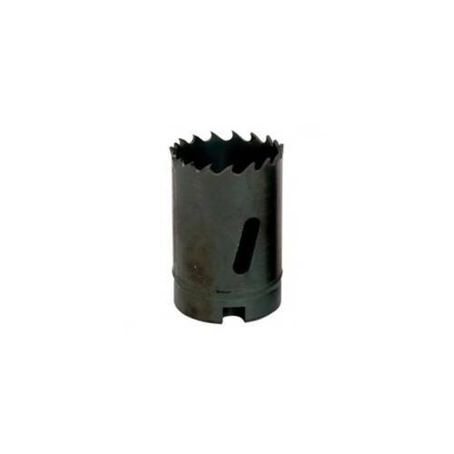 LEM00281
