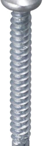 20211950