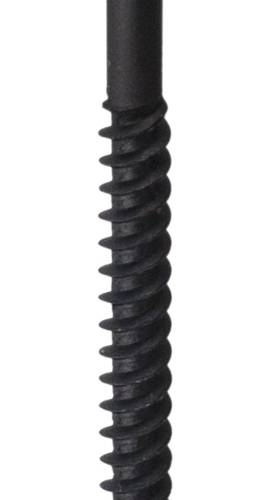 23524750