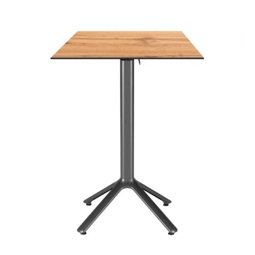 TB-NEMFF-6060C-CH.ARM