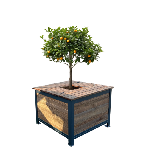 Arboribac