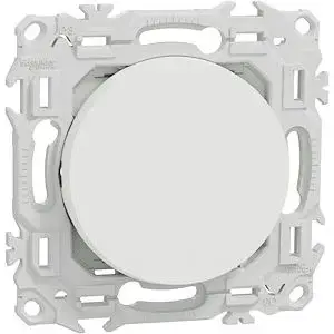 AUR00954