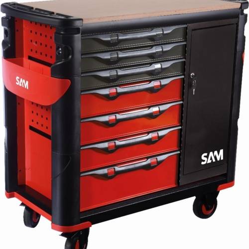 SAM06530