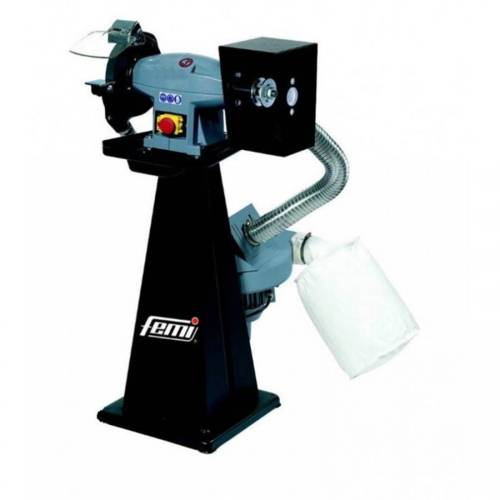 FEMI0343