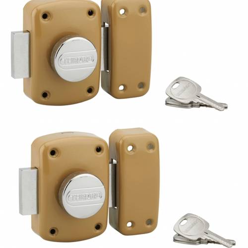 20537098
